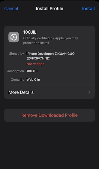 Step 3: Go to your phone's settings and select the downloaded 100JILI profile. Then install this profile.